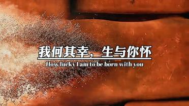 农业设备找不同